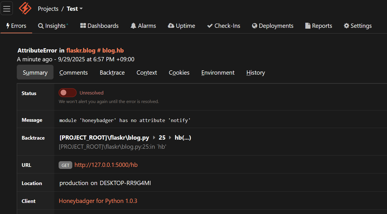 Honeybadger error page showing some of the information Honeybadger captures during integration testing